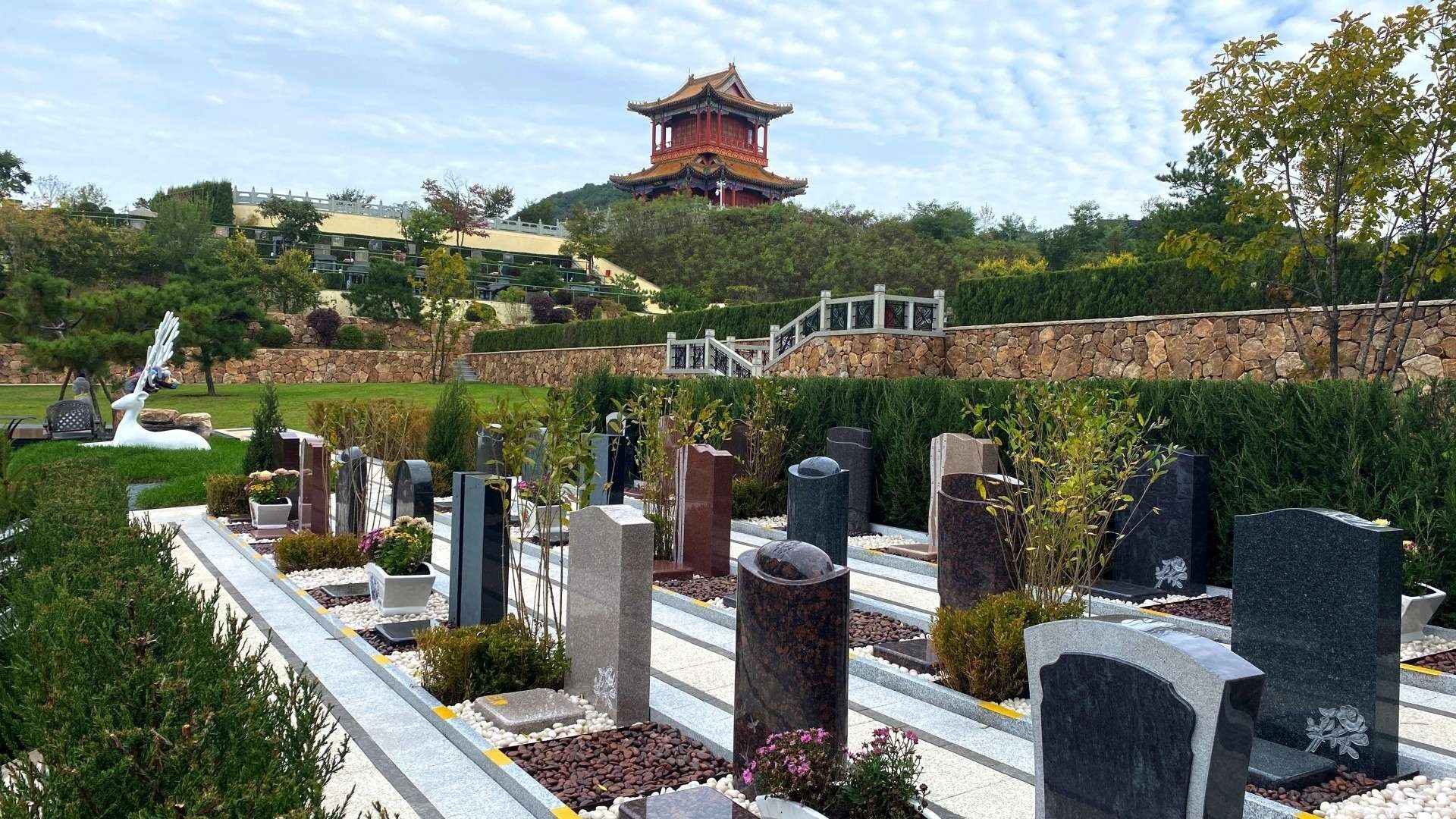 禅心园